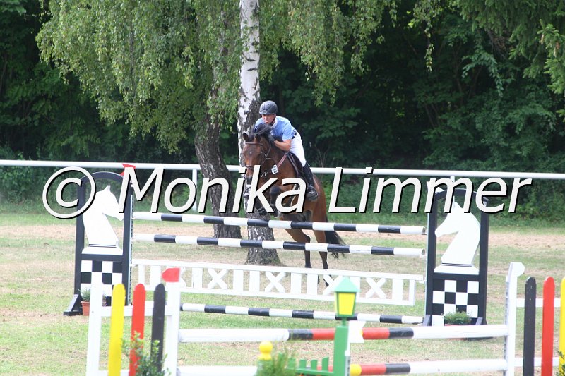 308M5527_Ladys Boy_Spring Sx.JPG